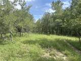 TBD Holik Road - Photo 19