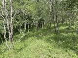TBD Holik Road - Photo 20