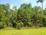 121 Kings Lake Estates Boulevard - Photo 3