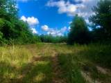 1516 Fm 2518 Road - Photo 10