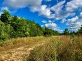 1516 Fm 2518 Road - Photo 5