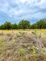 TR 2 Fm 1784 - Photo 13