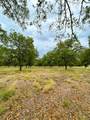 TR 2 Fm 1784 - Photo 15