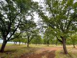 TR 2 Fm 1784 - Photo 16