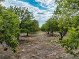 TR 2 Fm 1784 - Photo 7