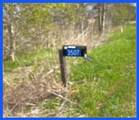 3507 Oil Field Road - Photo 5