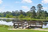 42663 Reminiscent Lane - Photo 37