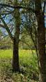 0 Meadow Creek Road - Photo 10