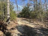 0 Lots 782-783, 786-787 Faye - Photo 1