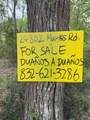 24802 Marks Road - Photo 6