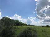 TBD County Road 182 - Photo 10