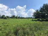 TBD County Road 182 - Photo 11