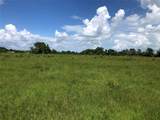 TBD County Road 182 - Photo 14