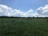 TBD County Road 182 - Photo 15