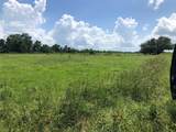 TBD County Road 182 - Photo 4