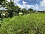 TBD County Road 182 - Photo 5