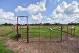 1508 County Road 217 - Photo 10
