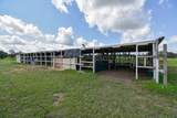1508 County Road 217 - Photo 7