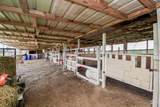 1508 County Road 217 - Photo 8