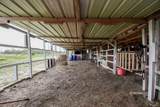 1508 County Road 217 - Photo 9
