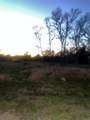 32602 Bayou Bend - Photo 5