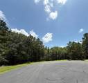 17647 Julianne Drive - Photo 5