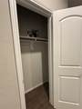 9925 Tammy Lane - Photo 11
