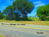 0 TBD Fm 2503 Road - Photo 2