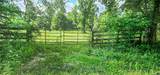 000 Tinney Road - Photo 2