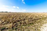 4427 Polak Road - Photo 3