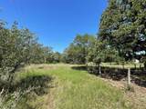 Lot 4 County Road 14 - Photo 16