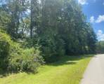 22922 Blackgum Drive - Photo 4