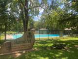 22922 Blackgum Drive - Photo 5