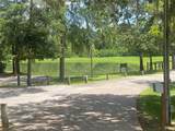 22922 Blackgum Drive - Photo 7