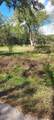 8828 Calagna Road - Photo 1
