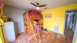10782 County Road 284 - Photo 24