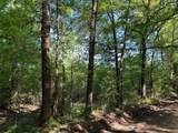 0 Hardy Bottom Road - Photo 12