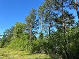 0 Hardy Bottom Road - Photo 7