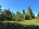 0 Hardy Bottom Road - Photo 8