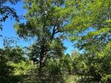 0 Hardy Bottom Road - Photo 9