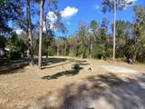 25881 Somerset - Photo 10