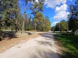 25881 Somerset - Photo 5