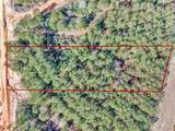 15388 Forest Grove Drive - Photo 1