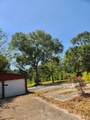 26002 Roping Pen Road - Photo 1