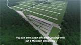 5 Macalus - Photo 1