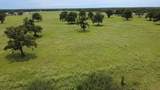 8234 County Road 201 - Photo 15