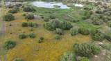 TBD Hwy 90A - Photo 13