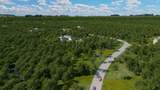 0000 Evergreen Lot 1 Fm 362 Road - Photo 6