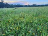 18081 Wellmann Road - Photo 11