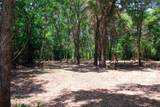 13 +/- Acres Greenbriar Road - Photo 16